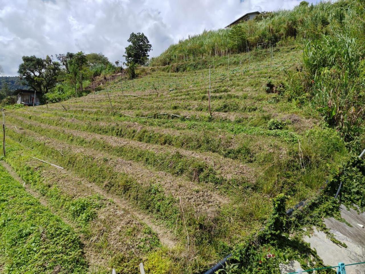 Kundasang Mount Garden Kültér fotó